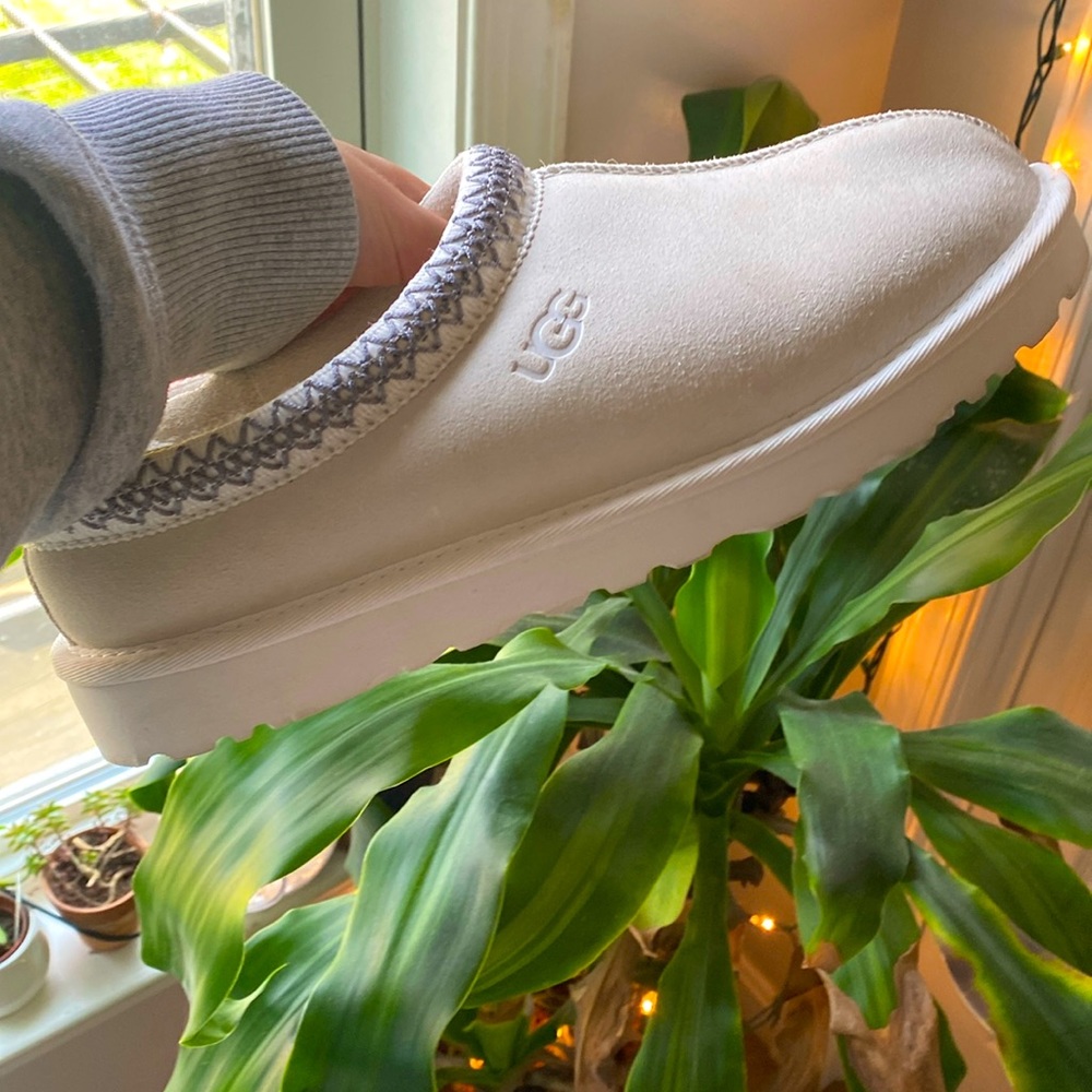Tasman ugg